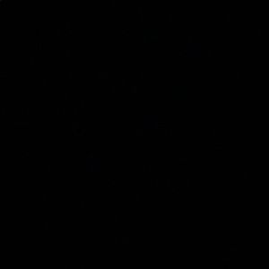 Meet your Posher, Evan